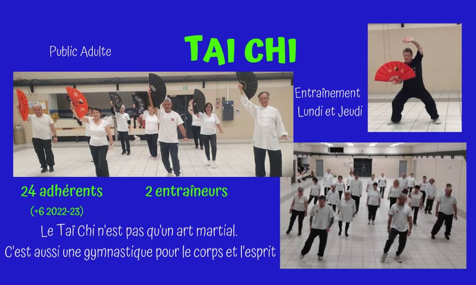 Bilan Annuel Association activites tai chi autour de la gym